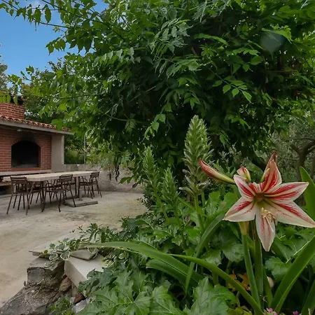 Tihana Apartment Makarska