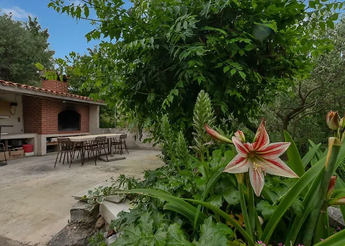 Tihana Apartman Makarska